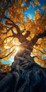 Golden Tree: A Stunning Artwork Inspired By Filip Hodas Royalty Free Stock Photo