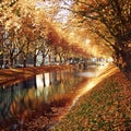 Golden Trees Reflecting in the canal. Autumn photo Royalty Free Stock Photo