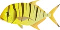 Golden trevally Gnathanodon Royalty Free Stock Photo