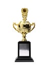 Golden trophies awards Royalty Free Stock Photo