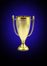 Golden trophy cup Royalty Free Stock Photo