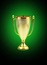 Golden trophy cup Royalty Free Stock Photo