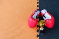 Golden trophy cup with red boxing gloves