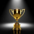 A golden trophy is prominently displayed under a spotlight. Its surface is shiny and Royalty Free Stock Photo