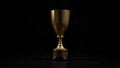Golden trophy on a reflective surface with dramatic spotlight, symbolizing achievement and victory. A Royalty Free Stock Photo