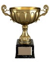 Beautiful shiny golden trophy Royalty Free Stock Photo