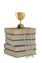 A golden trophy on top of a stack of books.  isolated on white background. 3D illustration Royalty Free Stock Photo