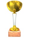 Golden trophy on a white