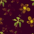 Golden Tropical Botanical. Yellow Seamless Exotic. Autumn Pattern Background. Green Flower Leaf. Violet Spring Vintage.