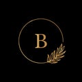 Golden tropical palm leaf frame. Round Icon in trendy minimal linear style. Vector Emblem with letter B Royalty Free Stock Photo