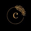 Golden tropical palm leaf frame. Round Icon in trendy minimal linear style. Vector Emblem with letter C and Palm Branch Royalty Free Stock Photo