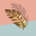 Golden tropical palm leaf Monstera on pastel luxury pink .