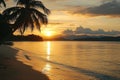 Golden tropical sundown reflected on the ocean surface with palm silhouette Royalty Free Stock Photo