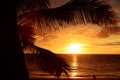 Golden Tropical Sunset