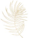 Golden Tropical Watercolor Palm Leaf, Outline Illustration