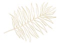 Golden Tropical Watercolor Palm Leaf, Outline Illustration