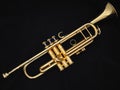 The Golden Trumpet Royalty Free Stock Photo