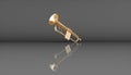 Golden trumpet on a black background Royalty Free Stock Photo