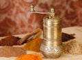 Golden Turkish spice mill