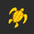 Golden turtle - sparkling turtle logo