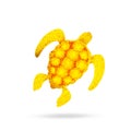 Golden turtle - sparkling turtle logo