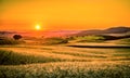 Golden tuscan sunset Royalty Free Stock Photo