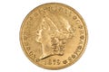 Golden 1879 US twenty dollars coin Royalty Free Stock Photo