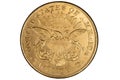 Golden 1879 US twenty dollars coin Royalty Free Stock Photo
