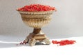 Golden vase filled with fresh red currant berries Royalty Free Stock Photo