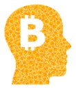 Golden Vector Bitcoin Imagination Mosaic Icon