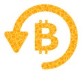 Golden Vector Bitcoin Refund Mosaic Icon