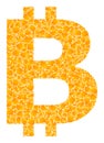 Golden Vector Bitcoin Symbol Mosaic Icon