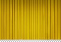 Golden velvet curtain with glitter in theater Royalty Free Stock Photo