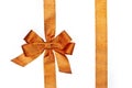 Golden vertical gift ribbons and luxurious bow