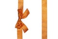 Golden vertical gift ribbons and luxurious bow