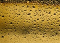 Golden view of a close up of condensation on a white wine bottle