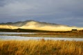 Golden View of Lake Tekapo Royalty Free Stock Photo