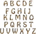 golden volcano natural alphabet letters