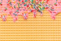 Golden waffle texture with pink icing and sprinkles, background for your design