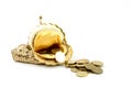 Golden wallet and coins Royalty Free Stock Photo