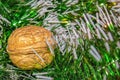 Golden Walnut on a green background