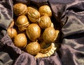 Golden Waluts on Black Satin Material Royalty Free Stock Photo