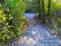 Golden and warm autumn in the park, trees dressed in colorful outfits, calmness and quiet