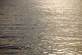 Golden water with ripples. lake at sunset. background for design Royalty Free Stock Photo