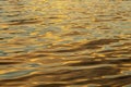 Golden Water