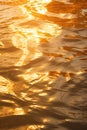 Golden water texture with sunlight and ripples