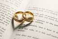 Golden wedding rings on bible book Royalty Free Stock Photo