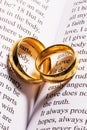 Golden wedding rings on bible book Royalty Free Stock Photo