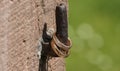 Golden wedding rings with brilliants stylishly arranged at the medieval door oars