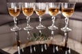 Golden wedding rings on a glass table with eucalyptus. champagne glasses on the background. selective focus Royalty Free Stock Photo